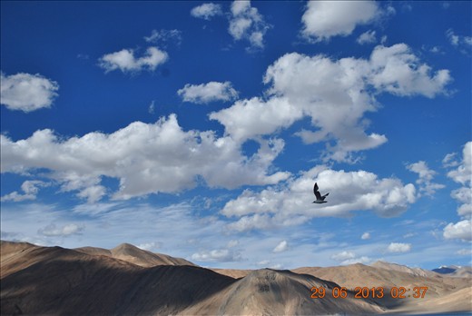 A bird fly through the clouds, as if opening wings to go beyond infinity.