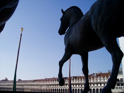 Atop St mark's Basilica, Venice