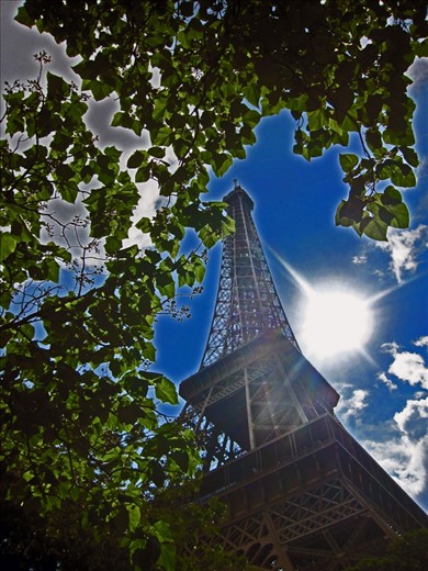 Playing peek-a-boo with the Eiffel Tower under a tree... i wondered how to play with sun