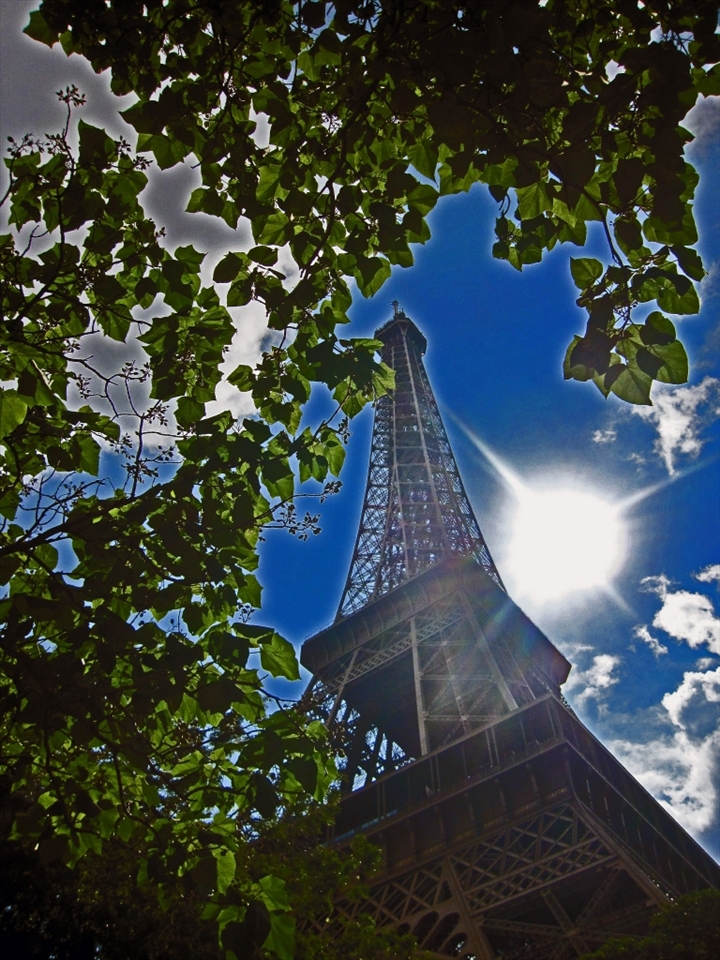 Playing peek-a-boo with the Eiffel Tower under a tree... i wondered how to play with sun