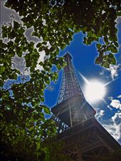 Playing peek-a-boo with the Eiffel Tower under a tree... i wondered how to play with sun: by tara-renee, Views[261]