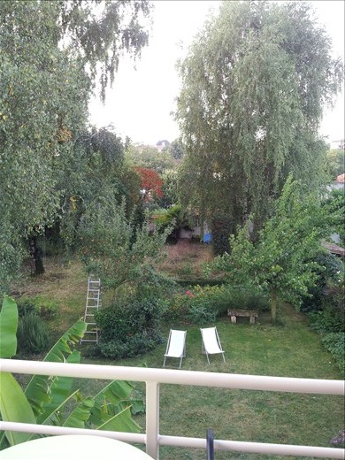 The Backyard of the B and B - wow!