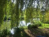A lovely place to stop and have lunch - Near Niort: by tara_and_paul_go_travelling, Views[281]