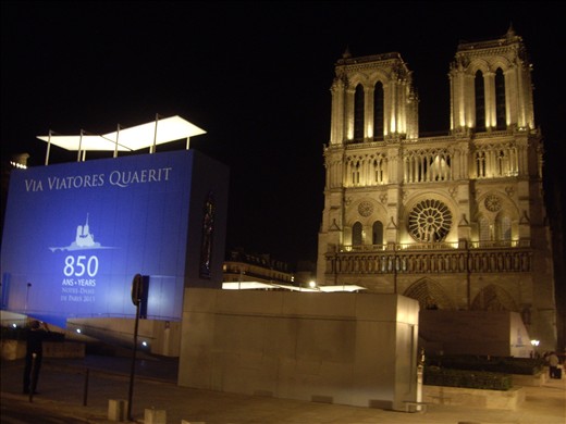 Notre Dame at night Just Lovely