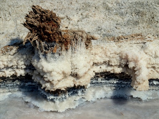 This is a close-up shot of the process of evaporation when salt is 