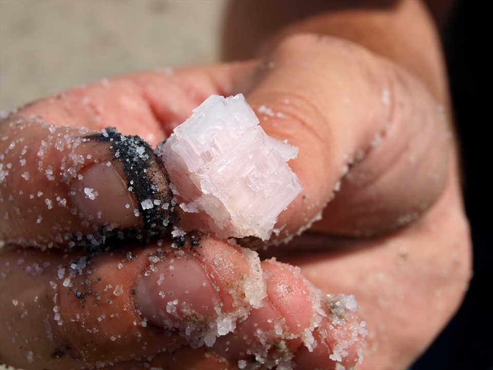 Salt has not only ensured the survival of mankind, but
colored our food, religions, politics and superstitions. In ancient times, because of its power to preserve and purify, salt was spilled upon legal documents to symbolize enduring agreement and freedom from deceit. Mans effort to obtain salt can be traced back through history for salt has always been essential to human life. Salt was more precious to men than gold.