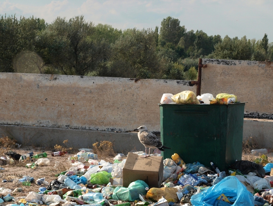 Unfortunately people don't appreciate the gems of nature that they have and destroy all the beauty and pureness of it. Only lonely seagull is trying to understand the reasons of such thoughtless behavior. This garbage was left by random occasional tourists that come here once in a while and we can just hope that it will be cleaned up one day...