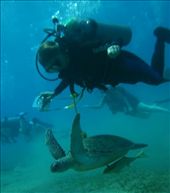 by tarafuki, Views[245]