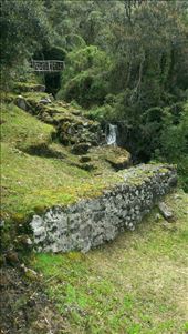 by taralynntravel365, Views[263]