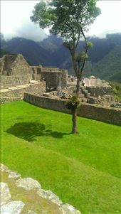 by taralynntravel365, Views[291]