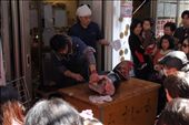 Tsukiji fish market Japan
: by tash, Views[194]