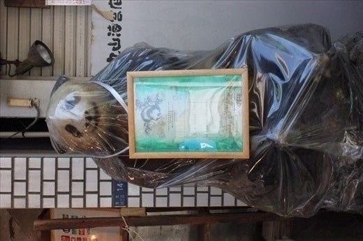 Tsukiji fish market Japan
I love me a bit of taxidermy but this was pretty gross