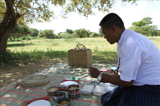 Swe setting the picnic