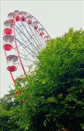 by tattoo_traveler, Views[164]