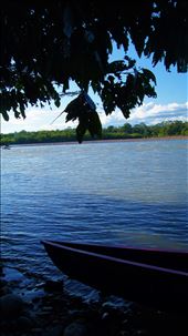 by tayhansen, Views[425]