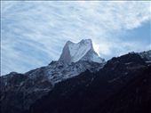 FISHTAIL MOUNTAIN POKHARA
Waking up in the morning is one thing, but waking up to this magical sacred mountain in your backyard is another.  This rarely seen unobstructed view of fishtail mountain needed to be captured.  I loved how the time of day accentuated the sharp angles of the peak , reaching 6993M, to the rugged snowline whilst the foreground remains in the shadow of the night.: by taylahblakemore, Views[1522]