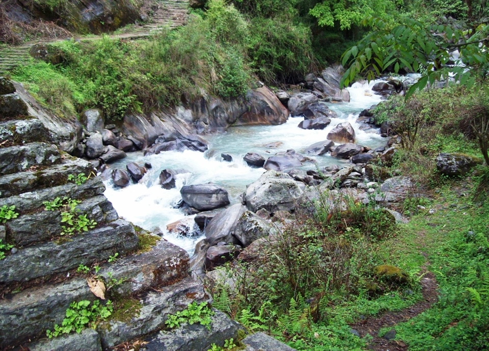 ANAPURNA TRAIL
I am now half way up the mountain trail to the school we visited and I loved how the green of the bush contrasted against the ice blue of this mountain stream  as we passed it. I wanted to capture the water rushing over the rocks.  What struck me about this image was the simplicity in which nature exists along side the man made stairs without either being out of place.
