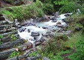 ANAPURNA TRAIL
I am now half way up the mountain trail to the school we visited and I loved how the green of the bush contrasted against the ice blue of this mountain stream  as we passed it. I wanted to capture the water rushing over the rocks.  What struck me about this image was the simplicity in which nature exists along side the man made stairs without either being out of place.
: by taylahblakemore, Views[410]