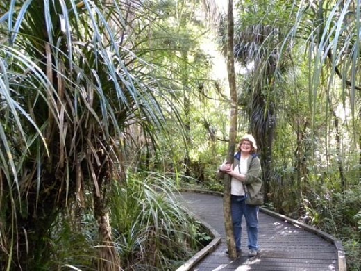 One he'll grow up to be as big as Tane Mahuta!