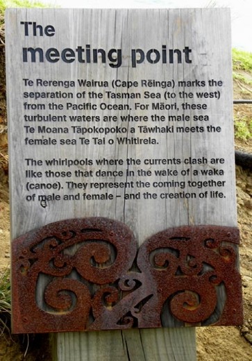 The walk down to the lighthouse has a number of signs explaining what you're seeing and history of the area.