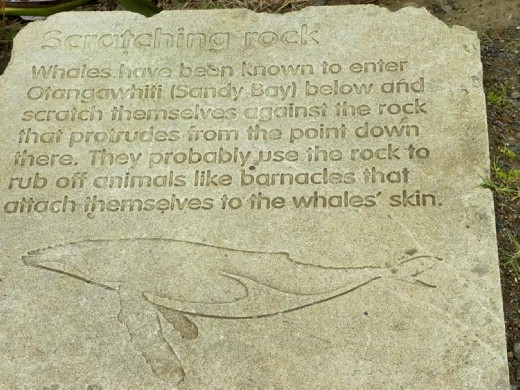 Alas, no whales came scratching today. Goodness knows we looked hard!