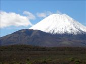 Mount Doom. It's easy to see Frodo and Sam slogging up the slopes to destroy The Ring.: by taylortreks, Views[191]
