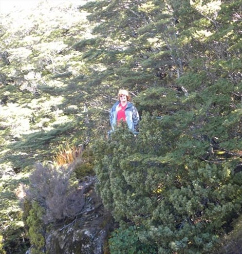 The view of the falls is pretty from over here!