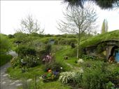 More Hobbit gardens: by taylortreks, Views[1504]