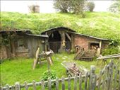 Hobbit ponies have to stay somewhere: by taylortreks, Views[295]