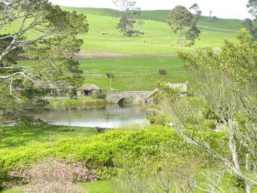 A partial view of the Party Tree, the bridge and the Green Dragon