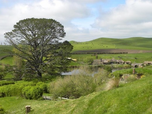 The party tree with the Green Dragon in the background