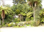A relaxing garden in back of the Taupo Museum. The silicon terraces are courtesy of Weta Workshop.: by taylortreks, Views[255]