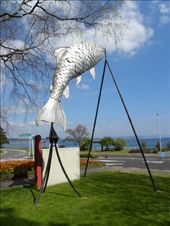 All hail The Trout!: by taylortreks, Views[203]