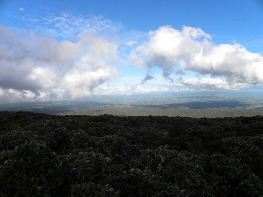 But the view down the mountain is spectacular.