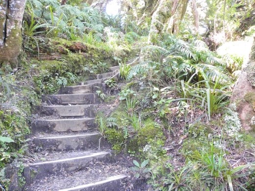 Unfortunately, even if it's a short distance, it's usually steps or hills that must be traversed in order to get to the pretty views.