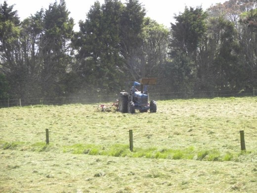 Ah-choo! Where are our hay fever meds?