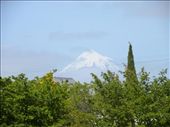 Mt Taranaki is EVERYWHERE!: by taylortreks, Views[229]