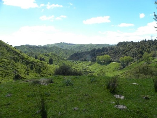 Oh, surprise, it's another twisty NZ road!