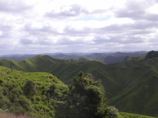 This place looks prehistoric, it wouldn't surprise us to see dinosaurs at any moment!