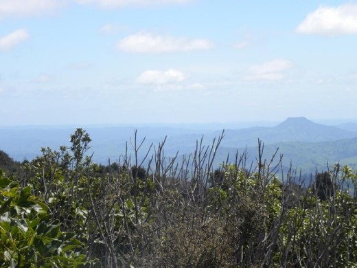 Ah, it looks like the mists of time!