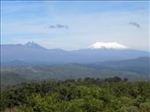 Wait! It's NOT Mt Taranaki! It's Mt Ruapehu!: by taylortreks, Views[200]