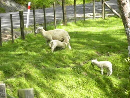 This is the way to do it, have MOM bring lunch!