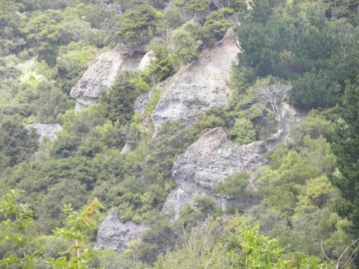 Lots of stone in this canyon