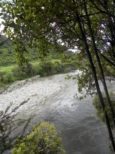 This is where Aragon washed ashore after the fight with the Wargs and the Orcs. And a trip over a cliff...