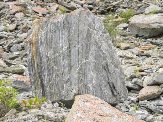 And a lot of rocks much smaller than elephants... this one is the size of a dinner plate.