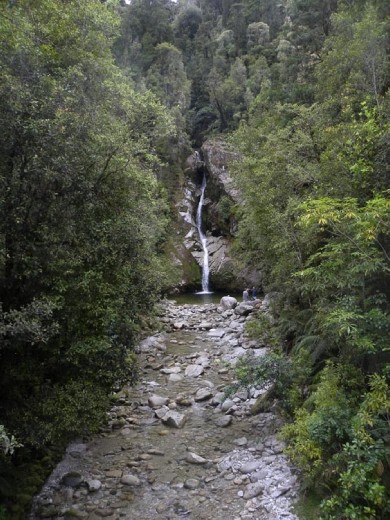 Small, but pretty falls.