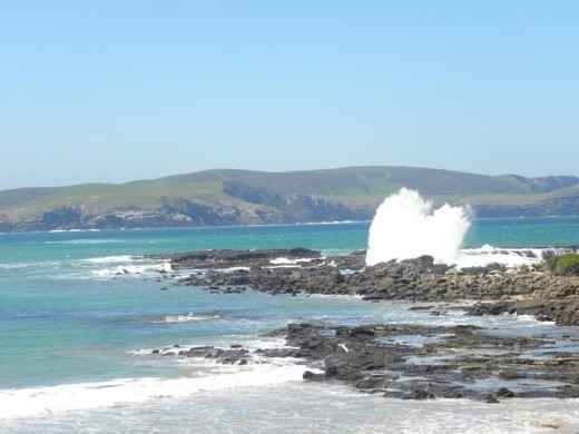 No dolphins, but plenty of pretty waves.