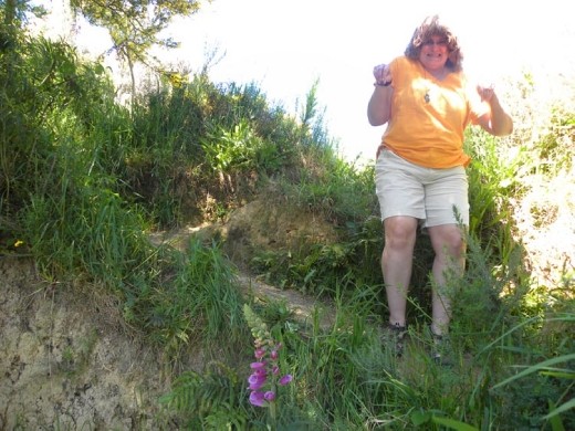 These are the tiniest switchbacks we've ever seen! Hobbit sized, we think. Gotta sneak down to the falls...