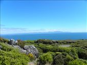 It's Stewart Island again!: by taylortreks, Views[191]