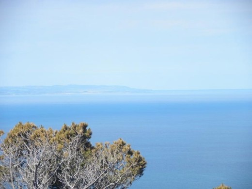 There's Slope Point in the distance, we were just there the other day. Southern point of the South Island.